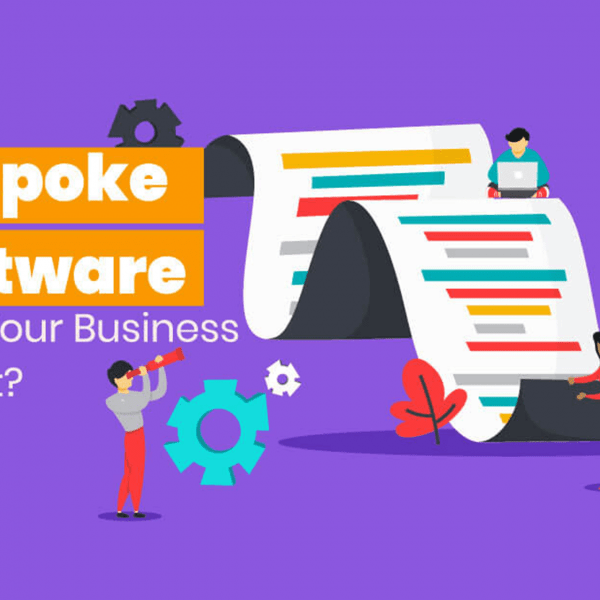 Bespoke Software Development