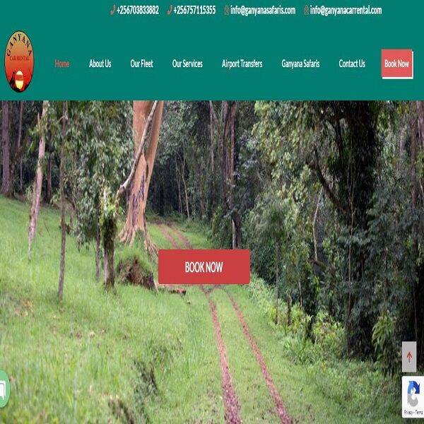 website design company